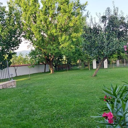 Apartment Oaza Relax Koper Eksteriør billede